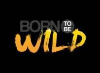 Born To Be Wild October 6 2024